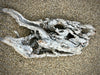 A sculptural piece of Driftwood. - Eclectic Bohemian