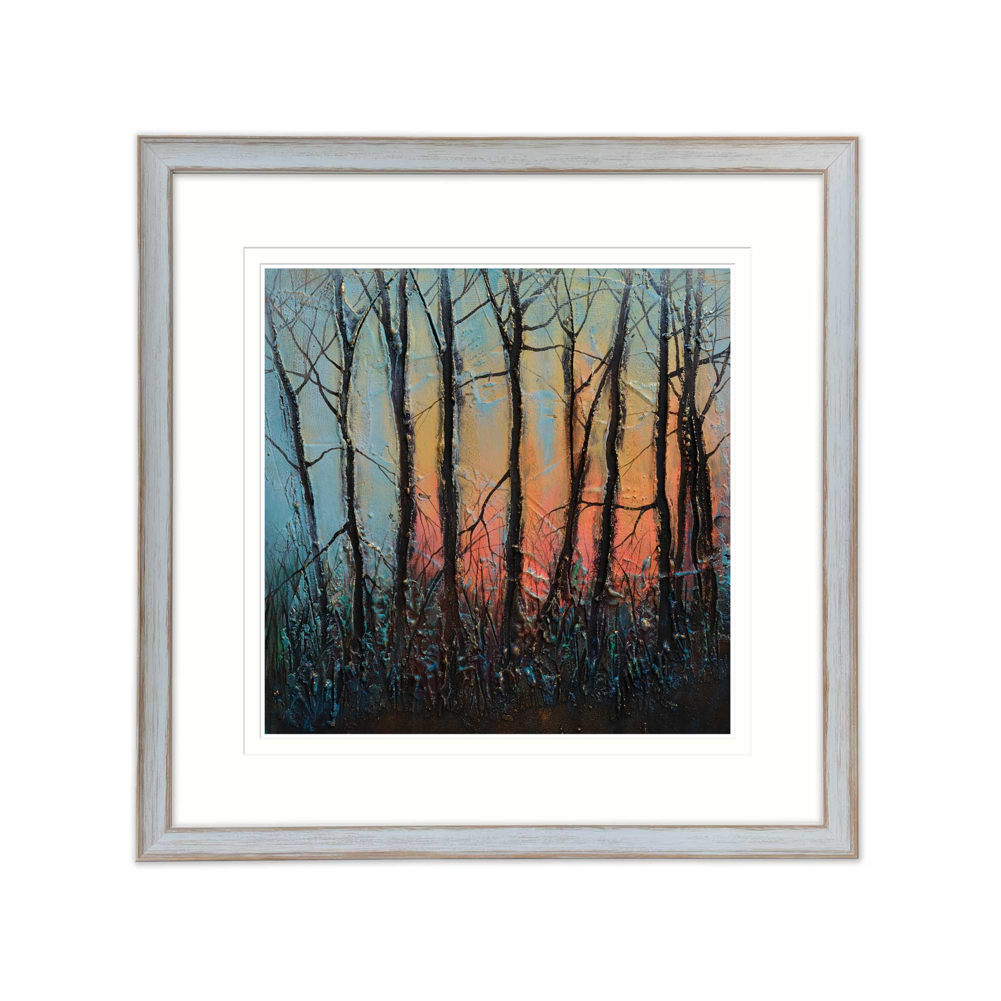 Sunlit Forest Med Framed Print