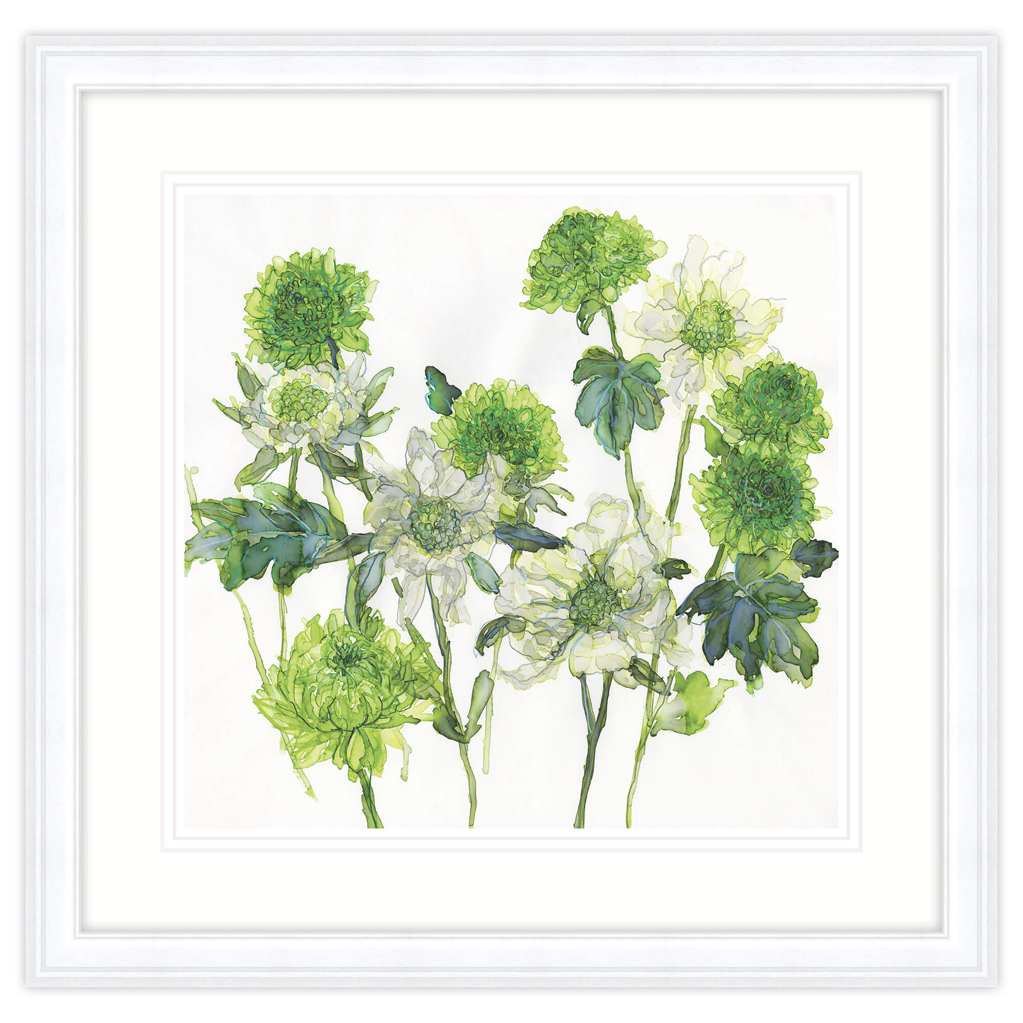 Scabious & Chrysanthemum Framed Print