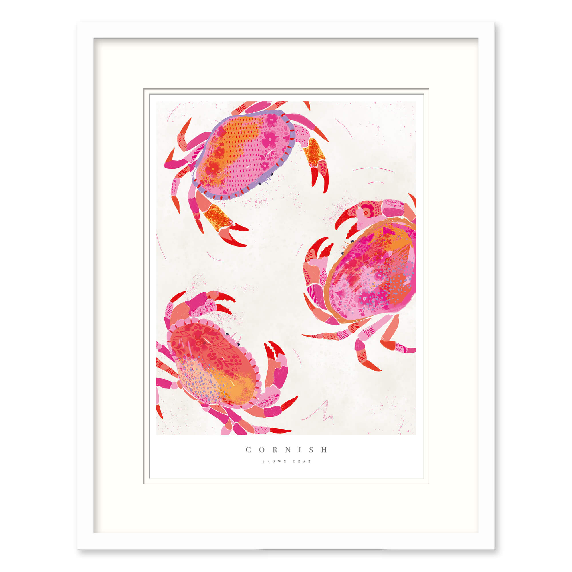 Cornish Crabs Small Framed Print