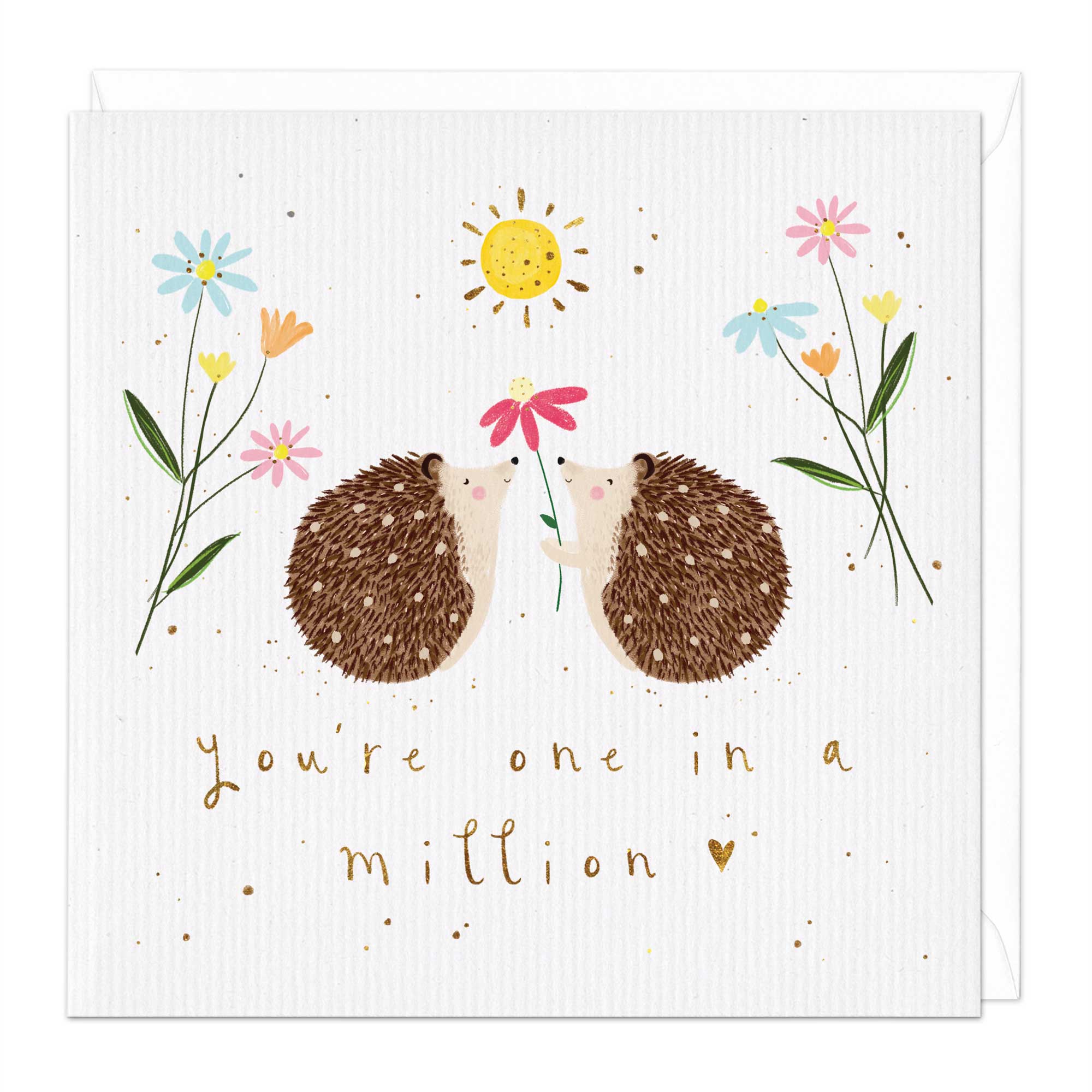 One In A Million Hedgehog Card