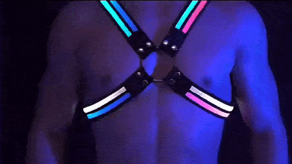 LED Flashing Light X-Harness