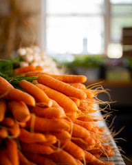 organic carrots at white gate farm in connecticut