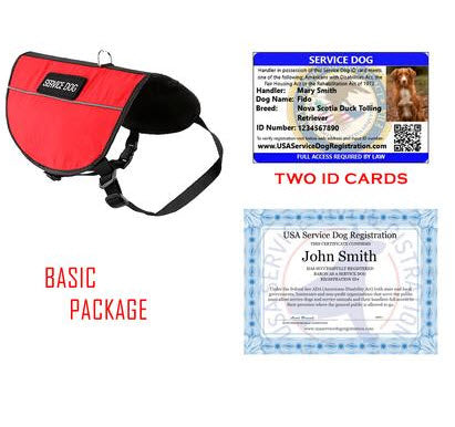 service dog basic image