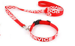 service dog leash and collar
