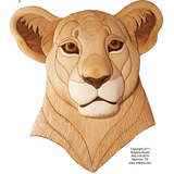 Lion Cub Intarsia JGR