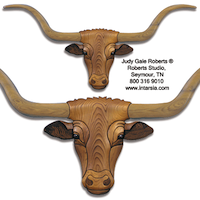 Longhorn Intarsia Pattern