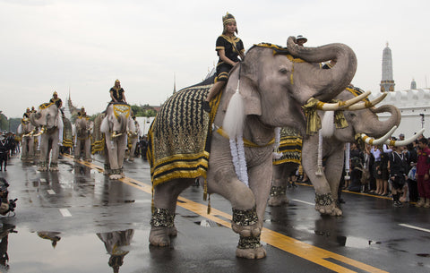 Elefantes en Tailandia