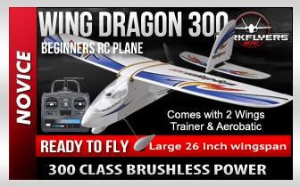 wing dragon rc plane