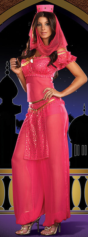 Make A Wish Genie Costume €1050 Costumecornerie 6334