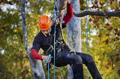 Sistema de lanzamiento de hondilla. Como se lanza la cuerda al arbol. Como lanzo la hondilla. Como se escala en arboles. Como subo la cuerda al arbol. Arborismo. Arboricultura. Arboristas. Trepa de arboles. Escalada de arboles. Escalada en arboles.