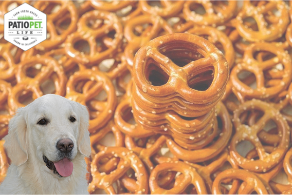 are salted pretzels bad for dogs