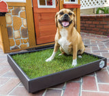 Patio Pet Life Pet Grass Small