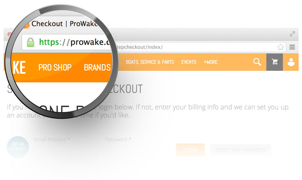 ProWake's Checkout Page is Secured by 256-bit SSL encryption