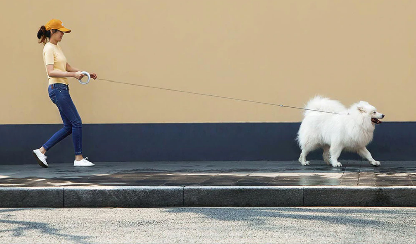 XIAOMI MOESTAR RETRACTABLE DOG LEASH RING India