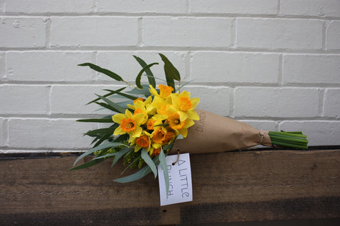 daffodil day little posy bouquet by A Little Bunch Perth
