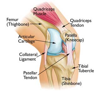 Image showing left knee pain and right knee pain