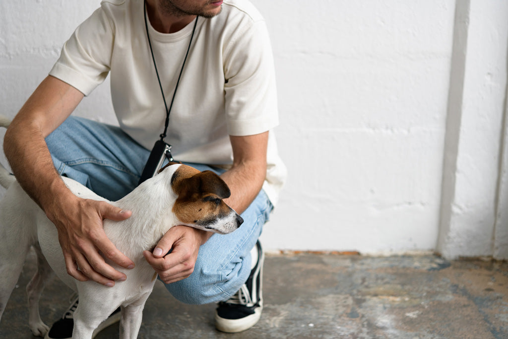 Campbell Cole x Albam | Accessories | Made in England