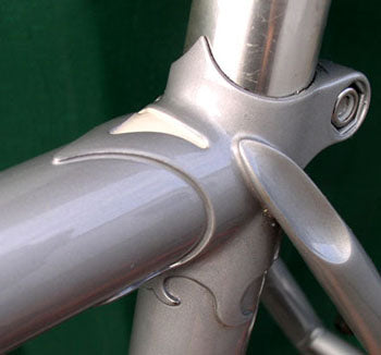 Silver lug closeup
