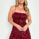  Iconic Arrival Allover Sequin Dress - kitchencabinetmagic
