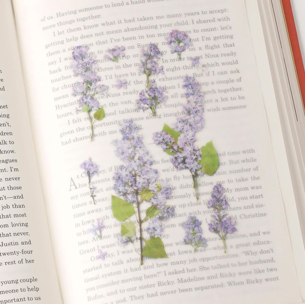 Appree Pressed Flower Sticker - Lilac