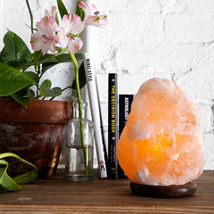 West Coast Cowgirl Himalyan salt lamp