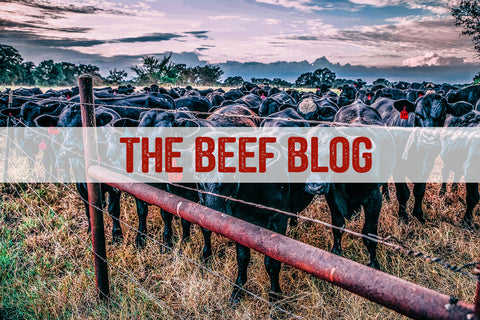 grass fed beef blog