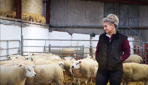 Anna Truesdale stood with sheep in the barn