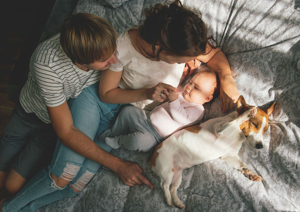 safe bed sharing with infant