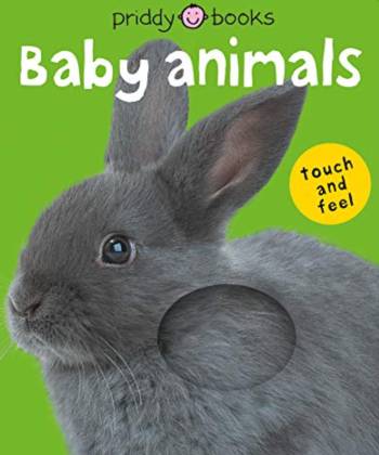 Animal Books for Babies and Toddlers – Happiest Baby