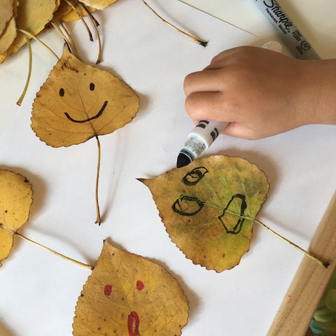 Fall Activities for Toddlers – Happiest Baby