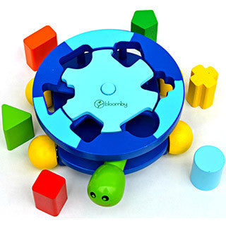 turtle shape sorter