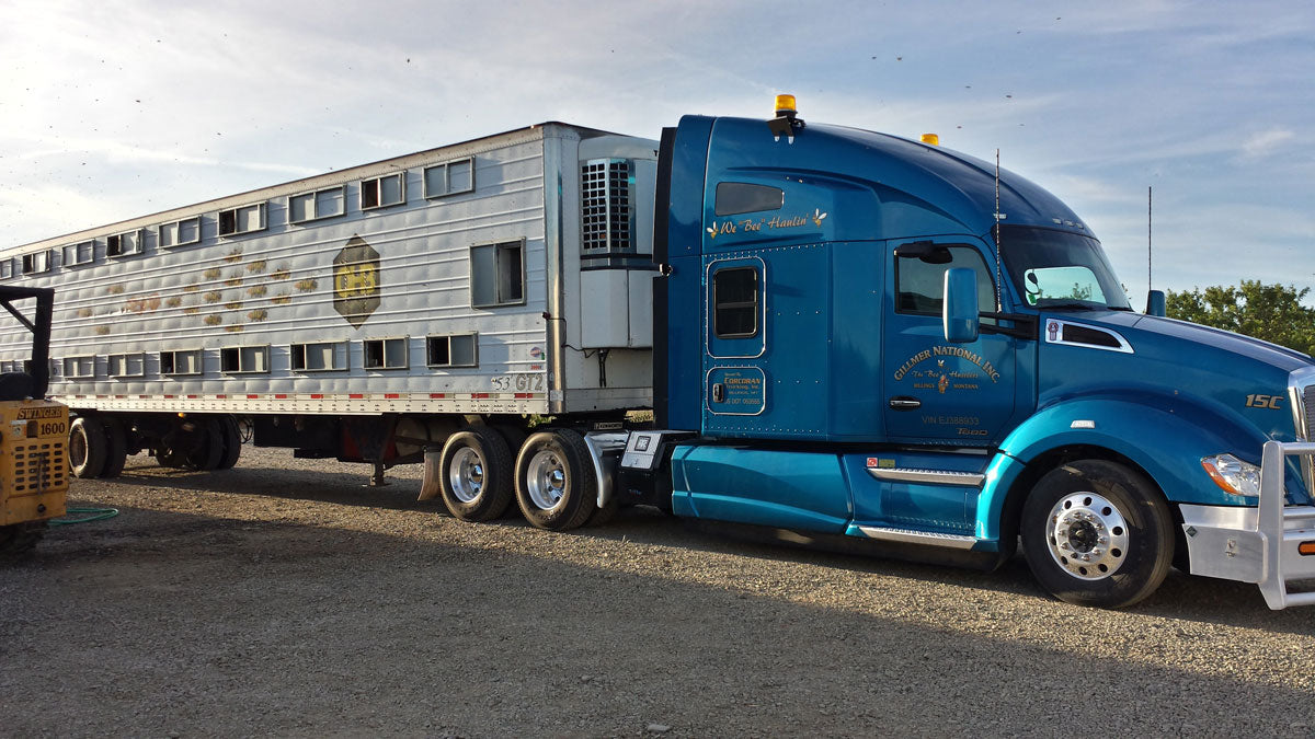 Specialized Trucks