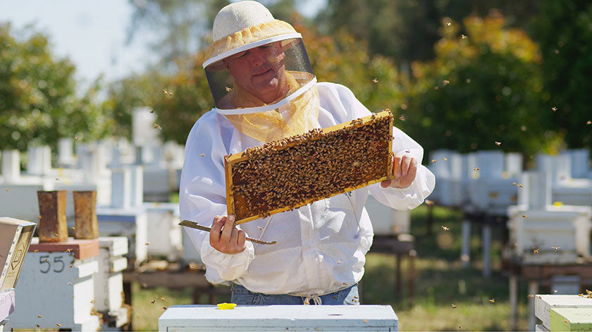 Package Bees