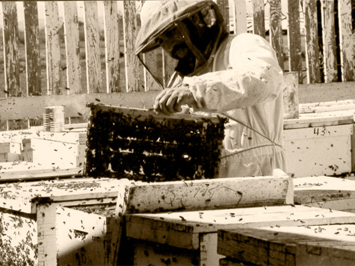 Beekeeper in the Sunshine