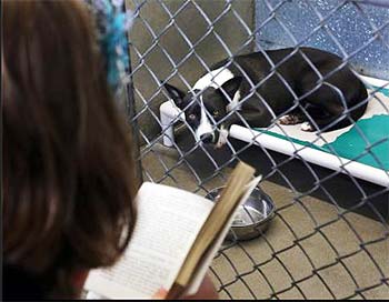 Dog in a kennel being read to