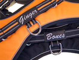 Personalized dog harnesses