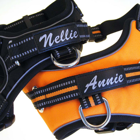 Personalized Sport Harness for Dogs