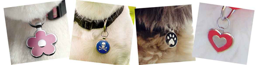 closeup of tags on pets: a pink flower, a lue skull & cross bones, a black paw print, and a red heart shape