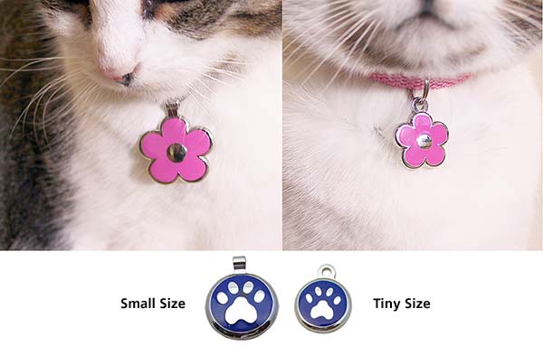 Cat wearing a small size jewelry tag next to another cat wearing a tiny jewelry tag for comparison.