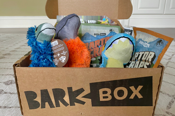 BarkBox Assessment and Unboxing: Is the Subscription Canine Field Price It?