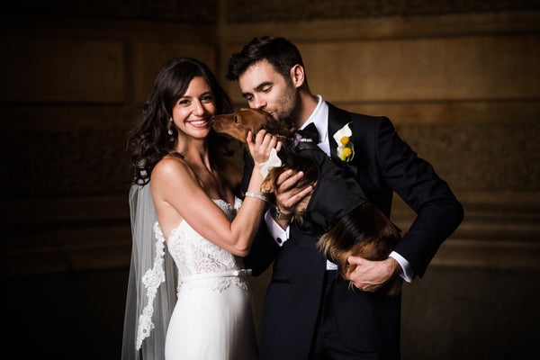 DJANGO - Steph, Mike and their long-haired dachshund Django, @djangothegent - djangobrand.com