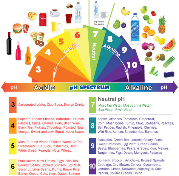 Alkaline Food Chart