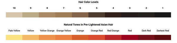 Hair color levels