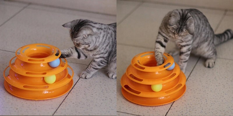 Chat qui joue avec un jouet tour à spirale