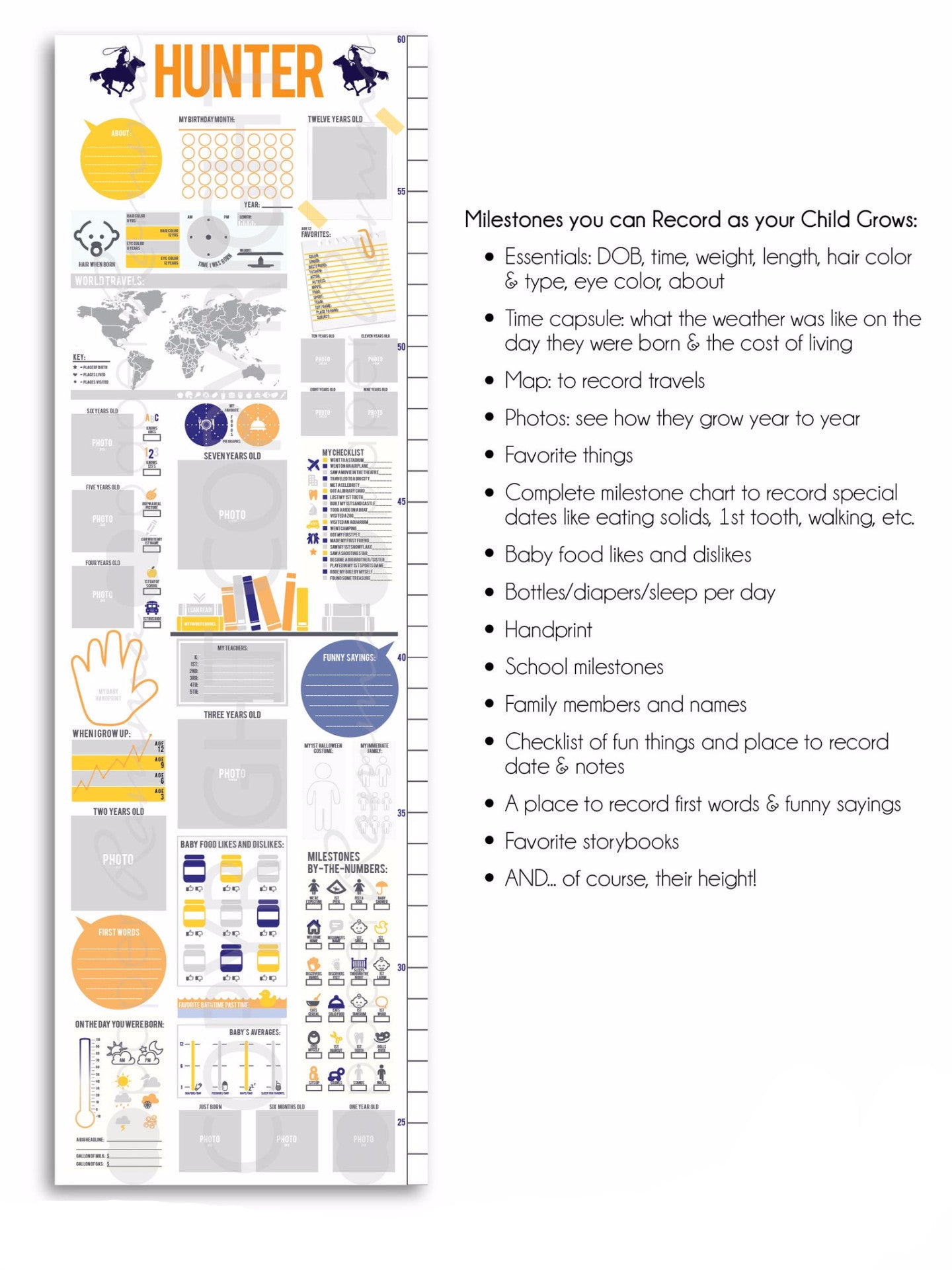 Interactive Growth Chart