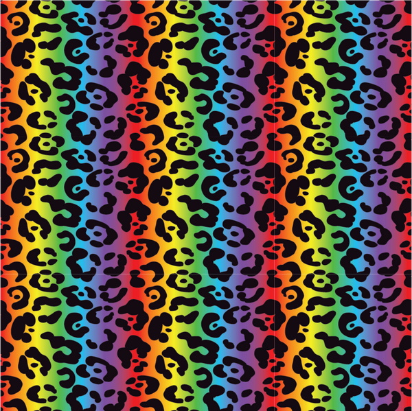 Rainbow Leopard Printed Craft Vinyl – Vinyl Printcess