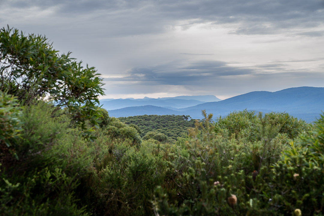 IN-TERIA Bruny Island