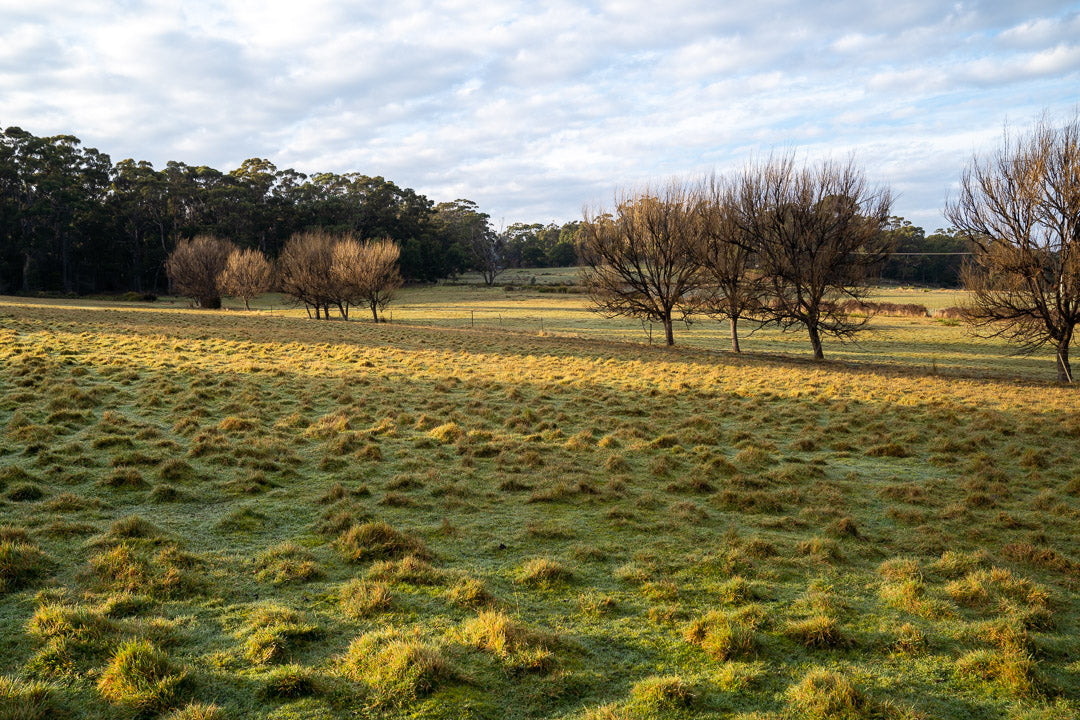 IN-TERIA Bruny Island