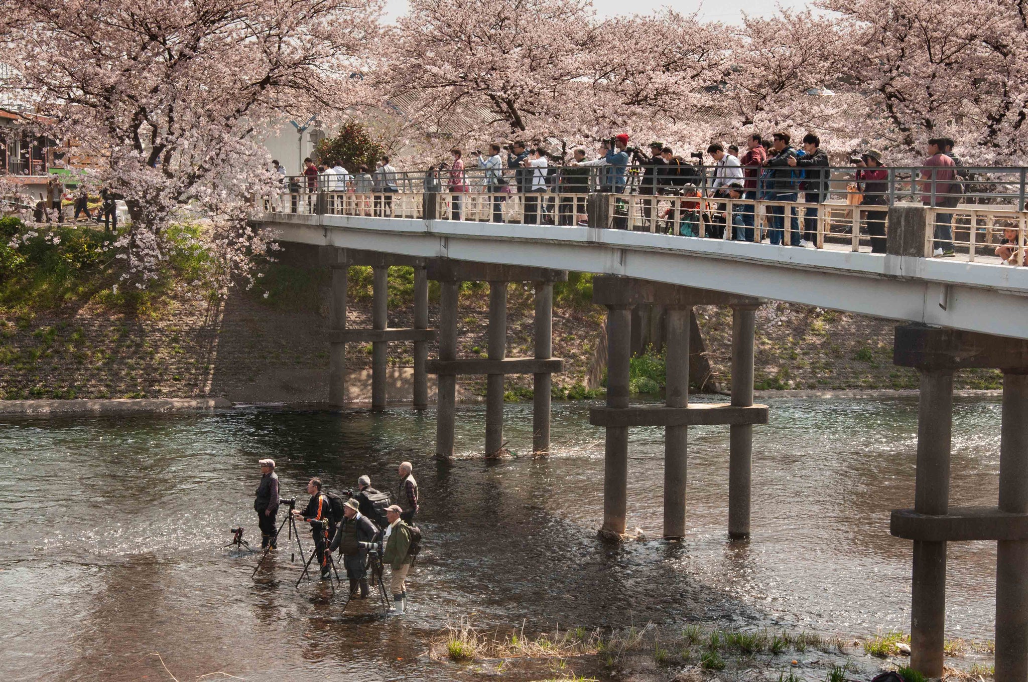 IN-TERIA in Japan 